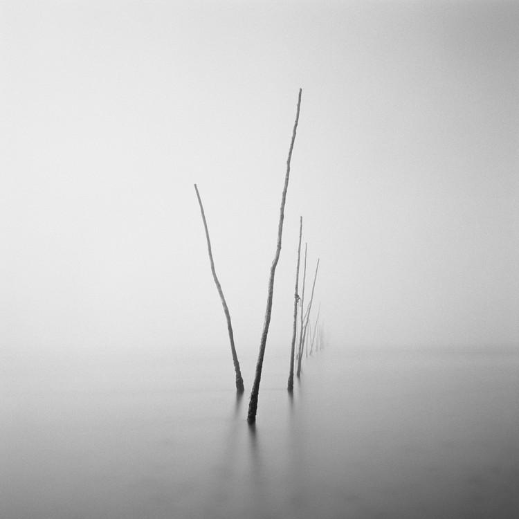 reFocus Awards | David Rathbone | Bronze (Film/Analog)