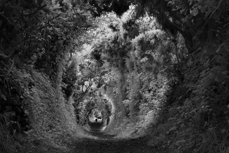 refocus-awards-thomas-peck-honorable-mention-landscapes