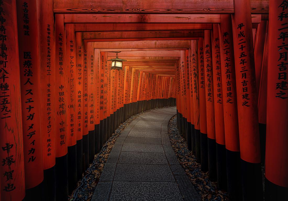 Color Photography Contest Featured Image