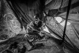 João Coelho entry image