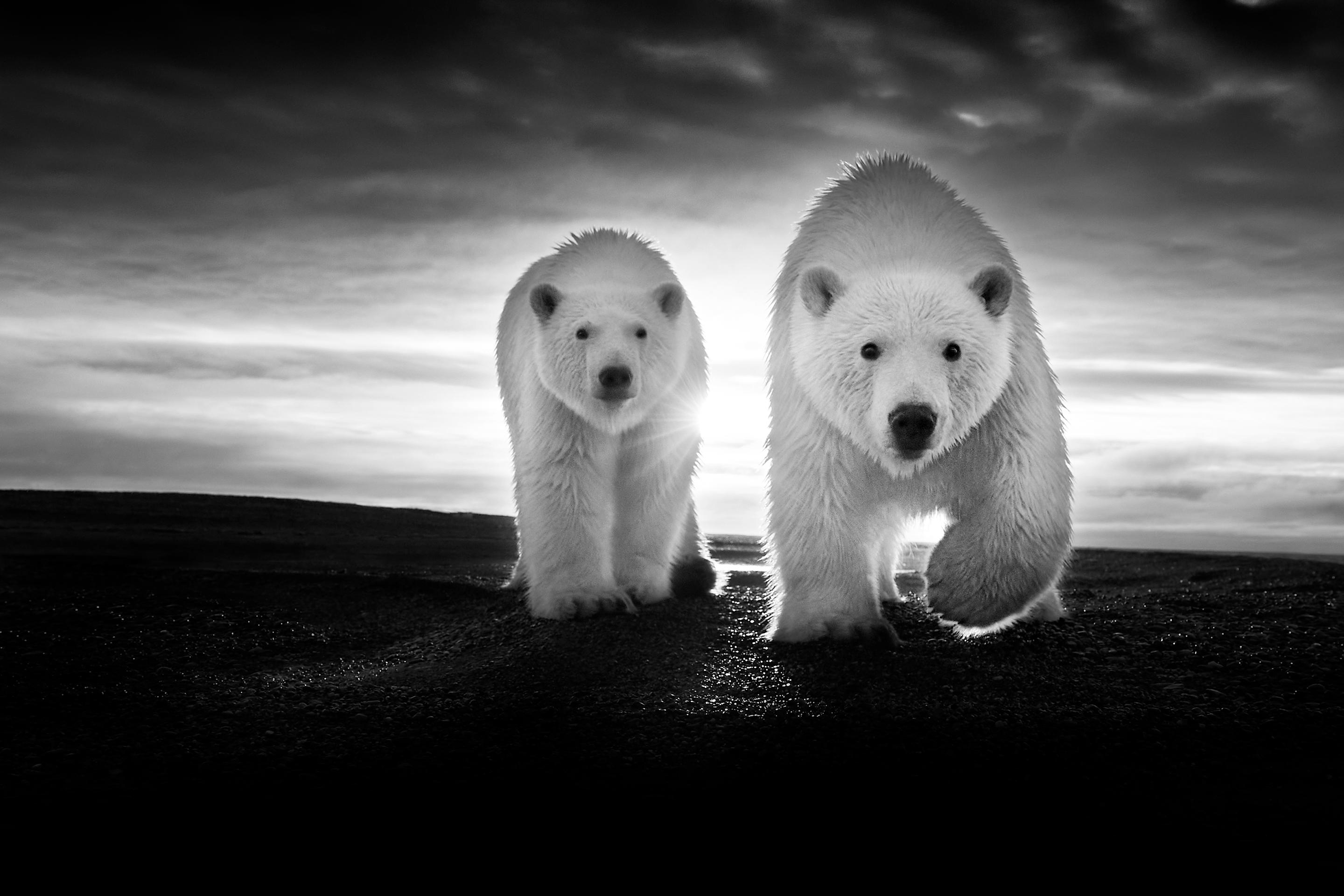 Black & White Photo Contest Featured Image