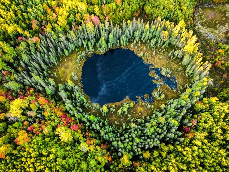Nameless Tree reFocus Awards | Cameron Wilcox | Honorable Mention (Aerial)